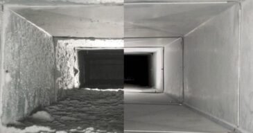 369bcfb9d4742b5a178da767ab4e80f2